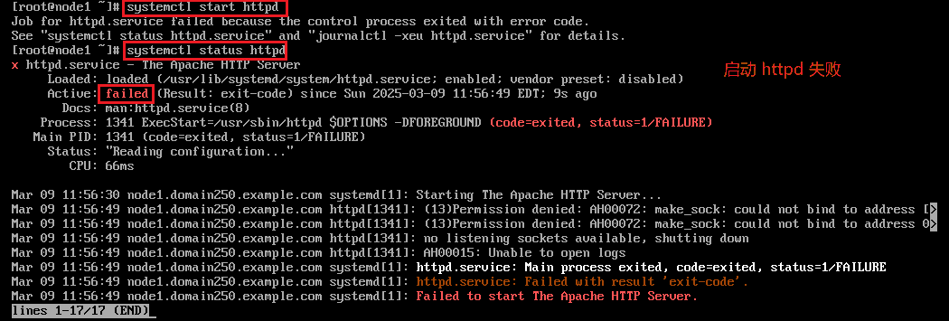 VfhQzq3q-6.png